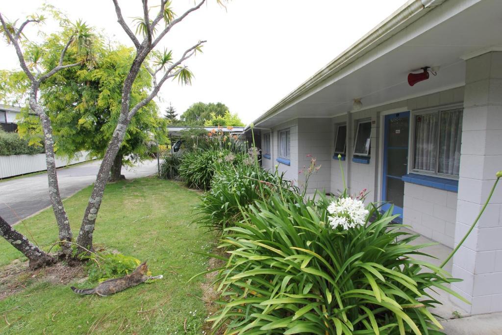 Waiuku Motel Exterior photo